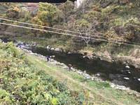 秩父フライフィールド 釣果