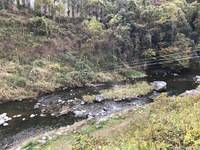 秩父フライフィールド 釣果