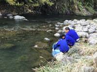 秩父フライフィールド 釣果