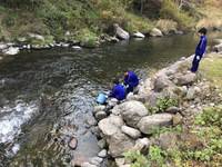 秩父フライフィールド 釣果