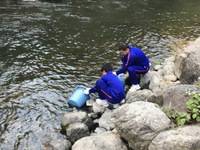 秩父フライフィールド 釣果