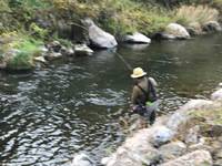 秩父フライフィールド 釣果