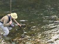 秩父フライフィールド 釣果