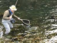 秩父フライフィールド 釣果