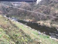 秩父フライフィールド 釣果