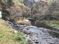 秩父フライフィールド 釣果