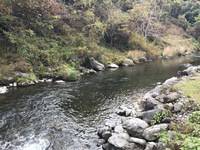 秩父フライフィールド 釣果