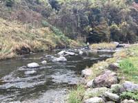 秩父フライフィールド 釣果