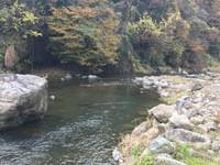 秩父フライフィールド 釣果