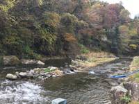 秩父フライフィールド 釣果