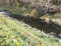 秩父フライフィールド 釣果