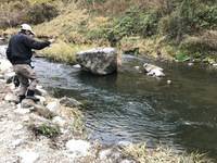 秩父フライフィールド 釣果