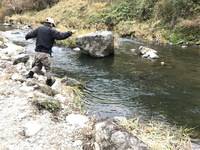 秩父フライフィールド 釣果