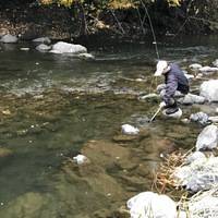 秩父フライフィールド 釣果