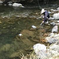 秩父フライフィールド 釣果