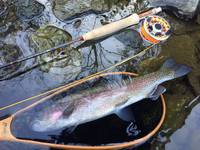 秩父フライフィールド 釣果