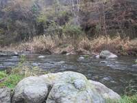 秩父フライフィールド 釣果