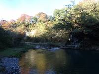 秩父フライフィールド 釣果