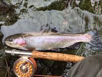 秩父フライフィールド 釣果