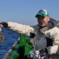 根岸丸 釣果