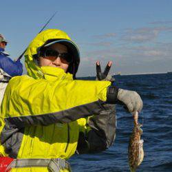 根岸丸 釣果