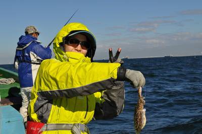 根岸丸 釣果