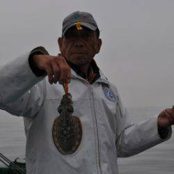 根岸丸 釣果