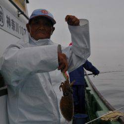 根岸丸 釣果