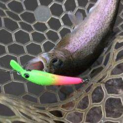 フィッシング サンクチュアリ 釣果