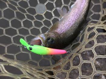 フィッシング サンクチュアリ 釣果