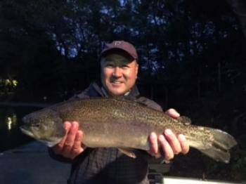 フィッシング サンクチュアリ 釣果