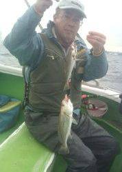 金沢八景鴨下丸 釣果