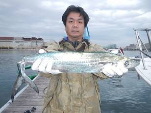 はたの家 釣果