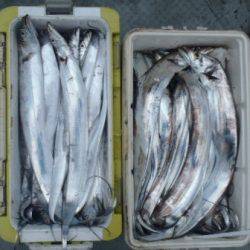 フィッシング キッタカ 釣果