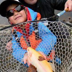 平谷湖フィッシングスポット 釣果