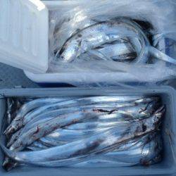 フィッシング キッタカ 釣果