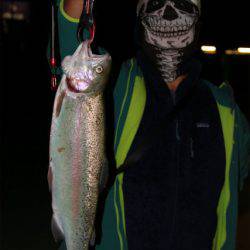 としまえんフィッシングエリア 釣果