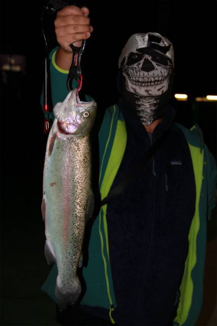 としまえんフィッシングエリア 釣果