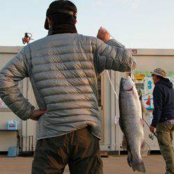 としまえんフィッシングエリア 釣果