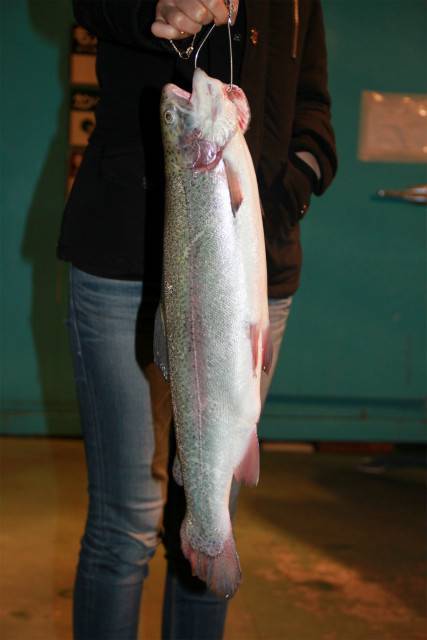 としまえんフィッシングエリア 釣果