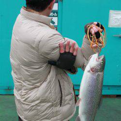 としまえんフィッシングエリア 釣果