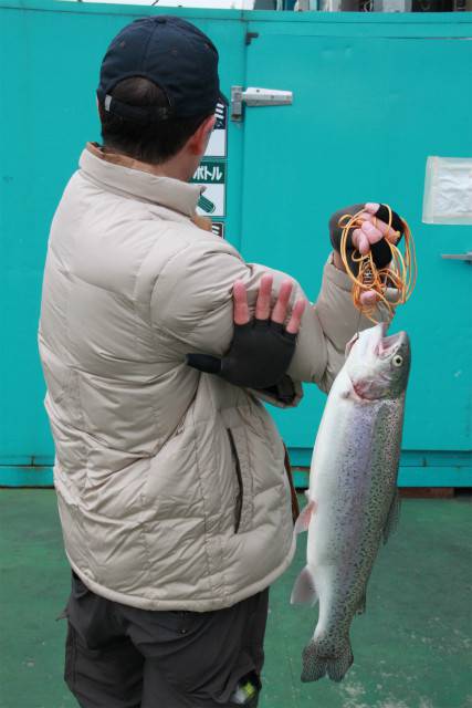 としまえんフィッシングエリア 釣果