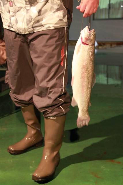 としまえんフィッシングエリア 釣果