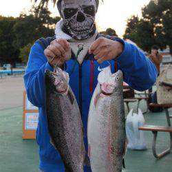 としまえんフィッシングエリア 釣果