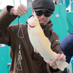 としまえんフィッシングエリア 釣果