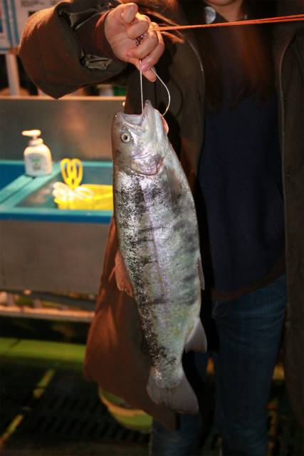 としまえんフィッシングエリア 釣果