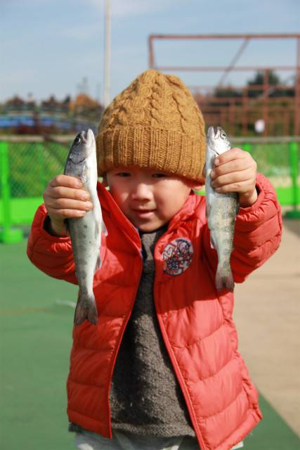 としまえんフィッシングエリア 釣果