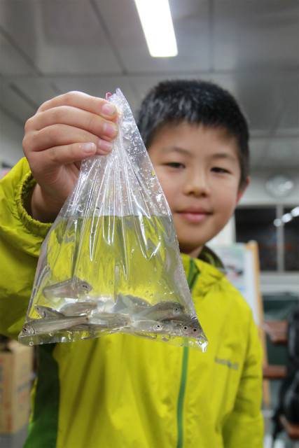 としまえんフィッシングエリア 釣果