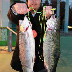 としまえんフィッシングエリア 釣果