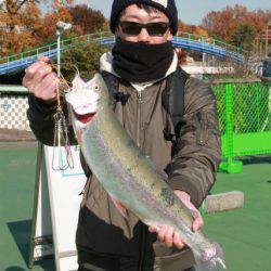 としまえんフィッシングエリア 釣果